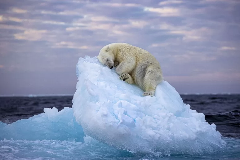 Svalbard