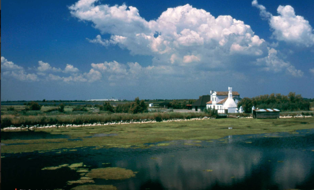 Polesine