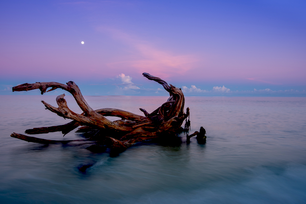 Denis Island
