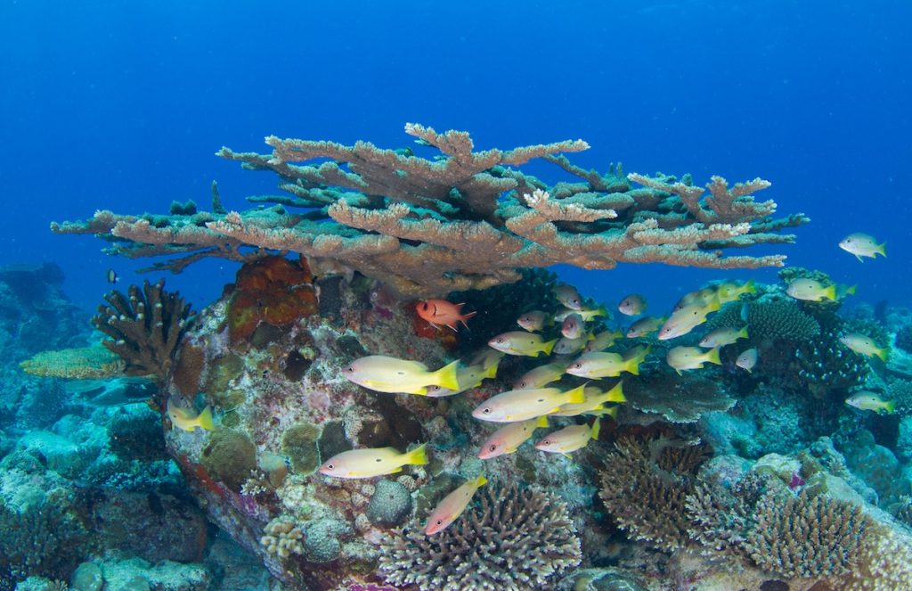 Seychelles