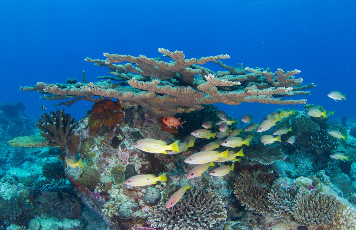 Seychelles