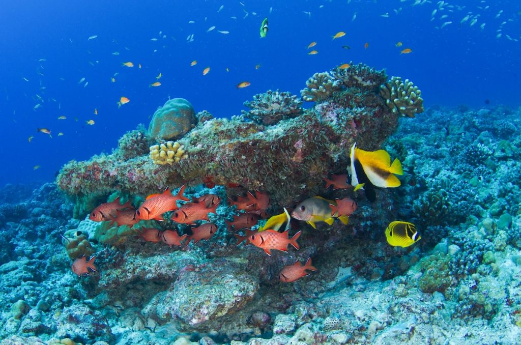 Seychelles
