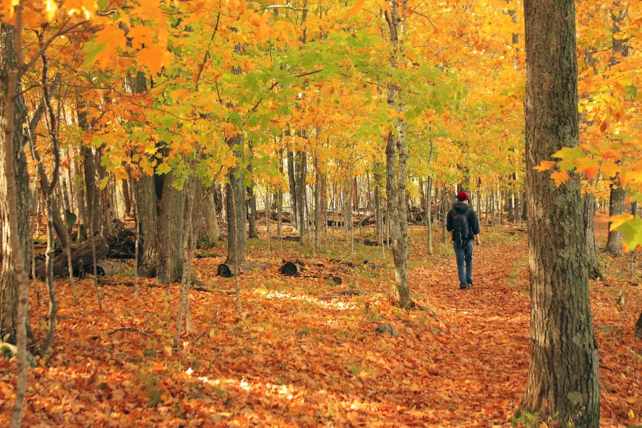 Minnesota
