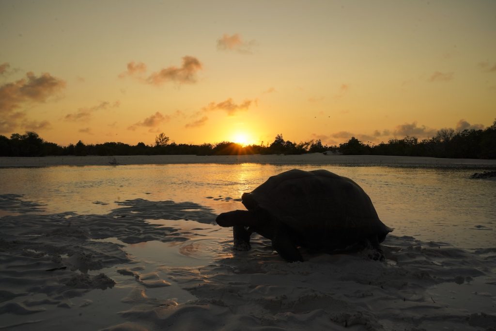 Seychelles
