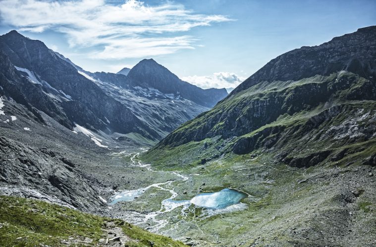 Graukase valle aurina
