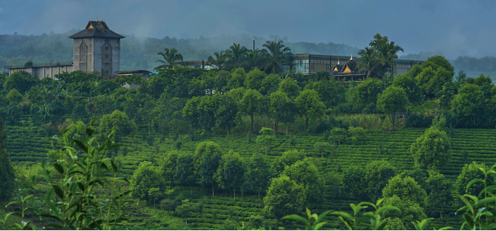 Tè Pu'er